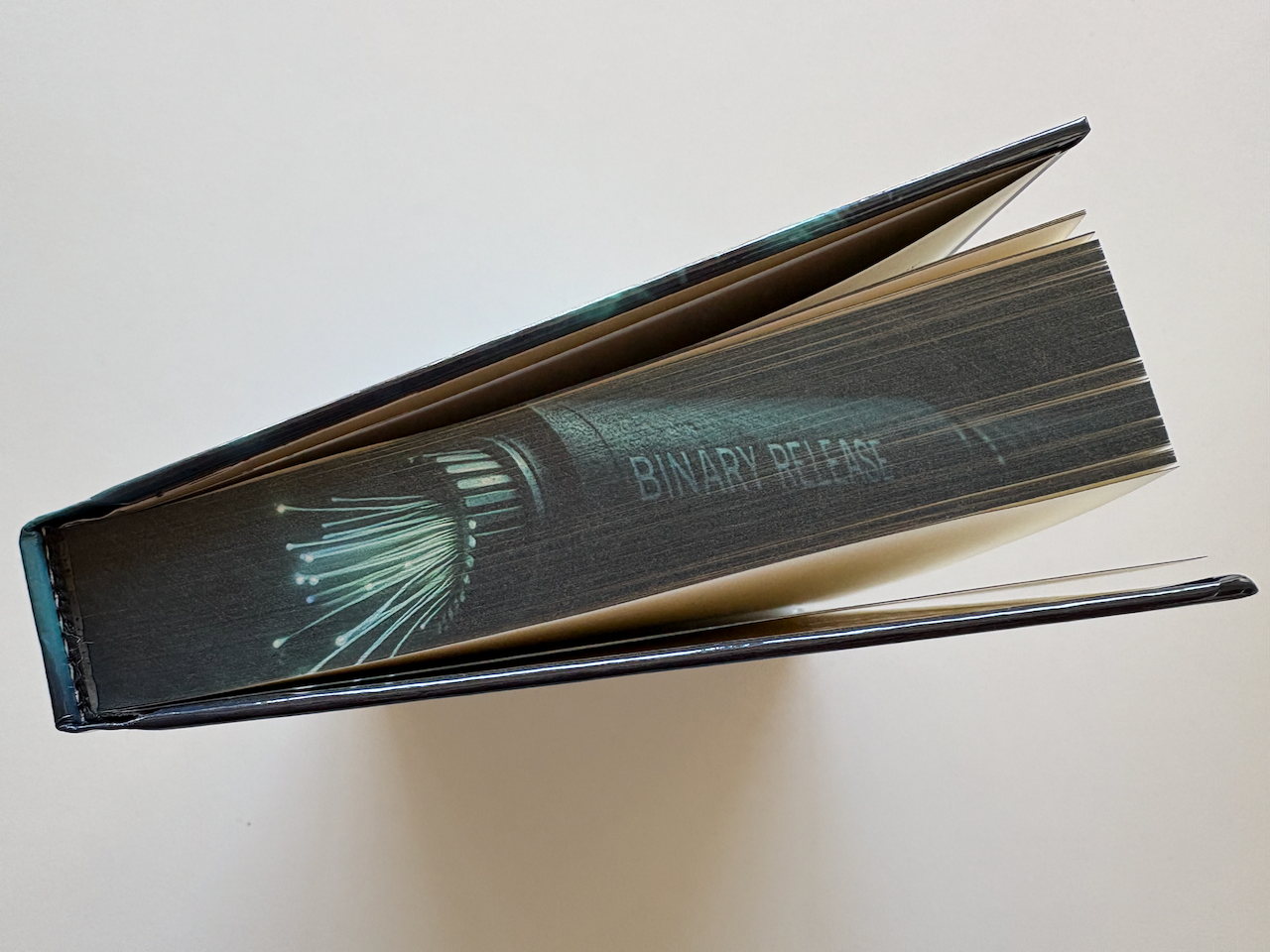 The sprayed bottom edge with the book standing up.